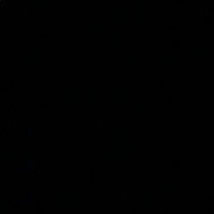 Meet your Posher, Angelica